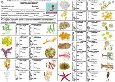 The Reef Check Mediterranean Underwater Coastal Environment Monitoring Protocol